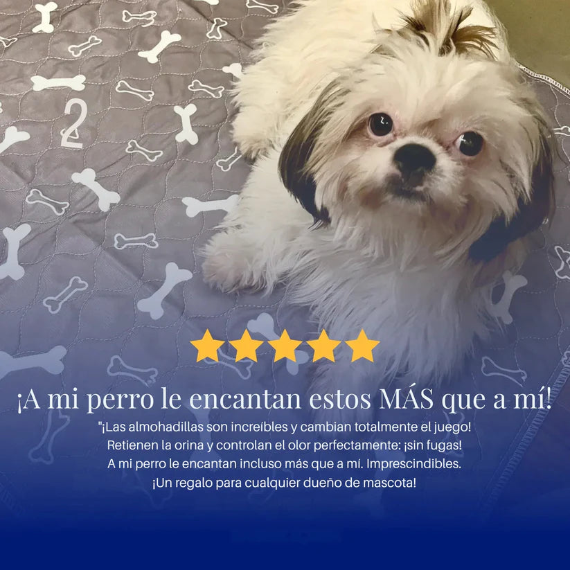 Barky™ - El Último Empapador Que Comprarás