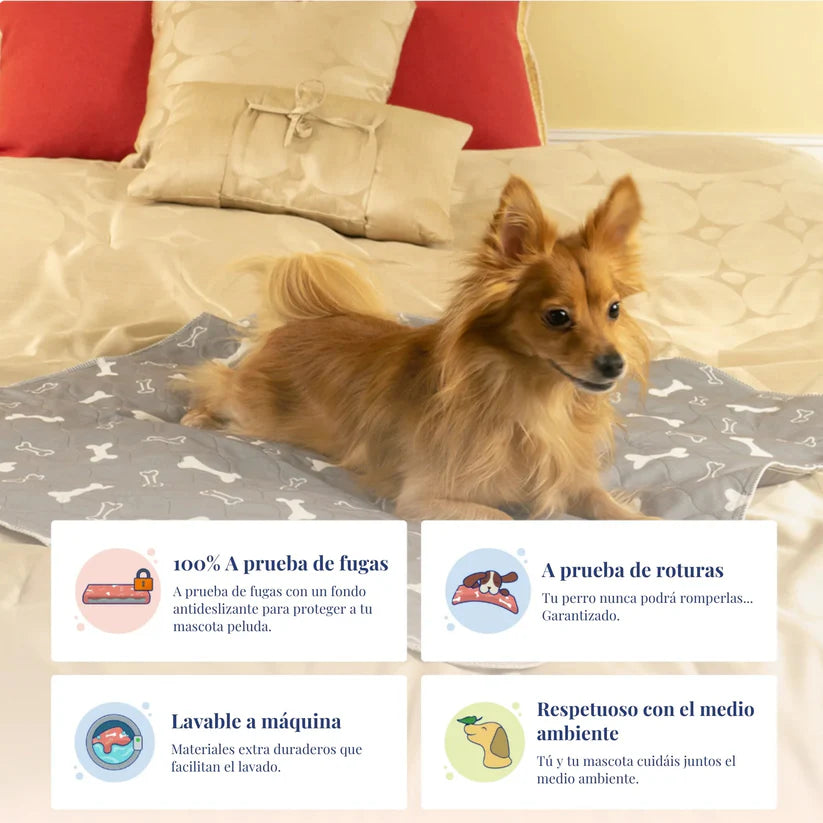 Barky™ - El Último Empapador Que Comprarás