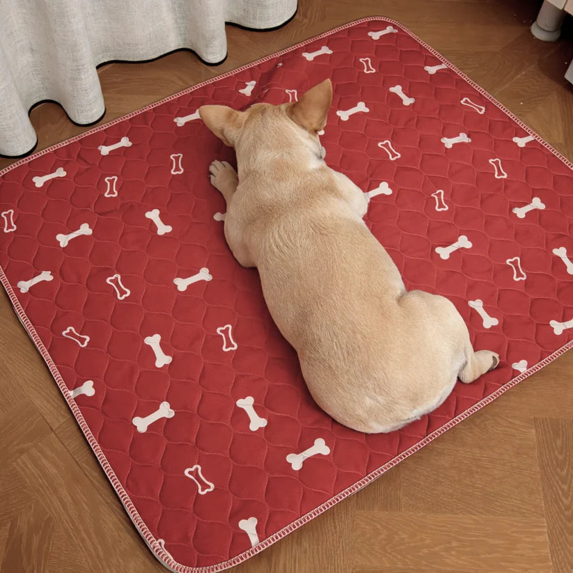 Barky™ - El Último Empapador Que Comprarás